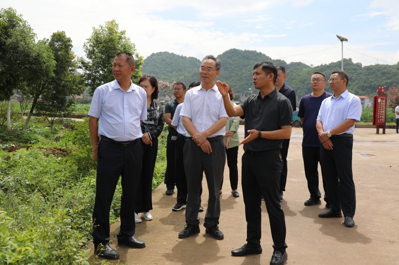 1690156043357504.jpg 1B8A0341.JPG