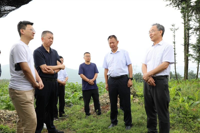 1690156058987423.jpg 1B8A0350.JPG