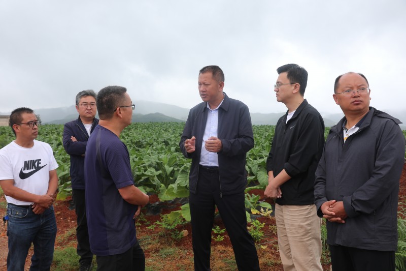 1690156832632609.jpg 906b4ee68b5788062daa4d184fad155.jpg