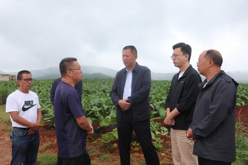 1690156883670686.jpg 12547e0add3ec308a14979d6578690a.jpg