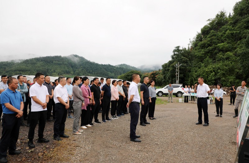 1690766945297581.jpg EV2A1603.JPG