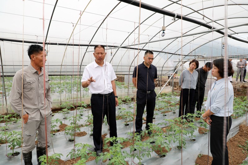 1690766960677723.jpg EV2A1625.JPG