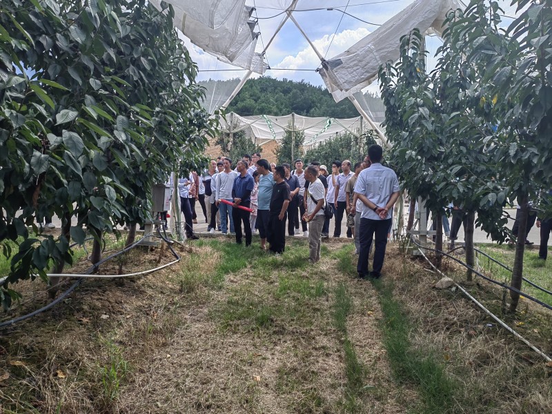 1690786982443126.jpg 67b08a073df2009a764de31346e74dd.jpg