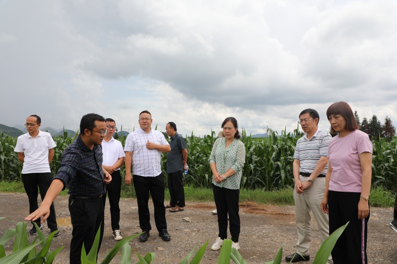 1691023433841988.jpg 5D1A8682.JPG