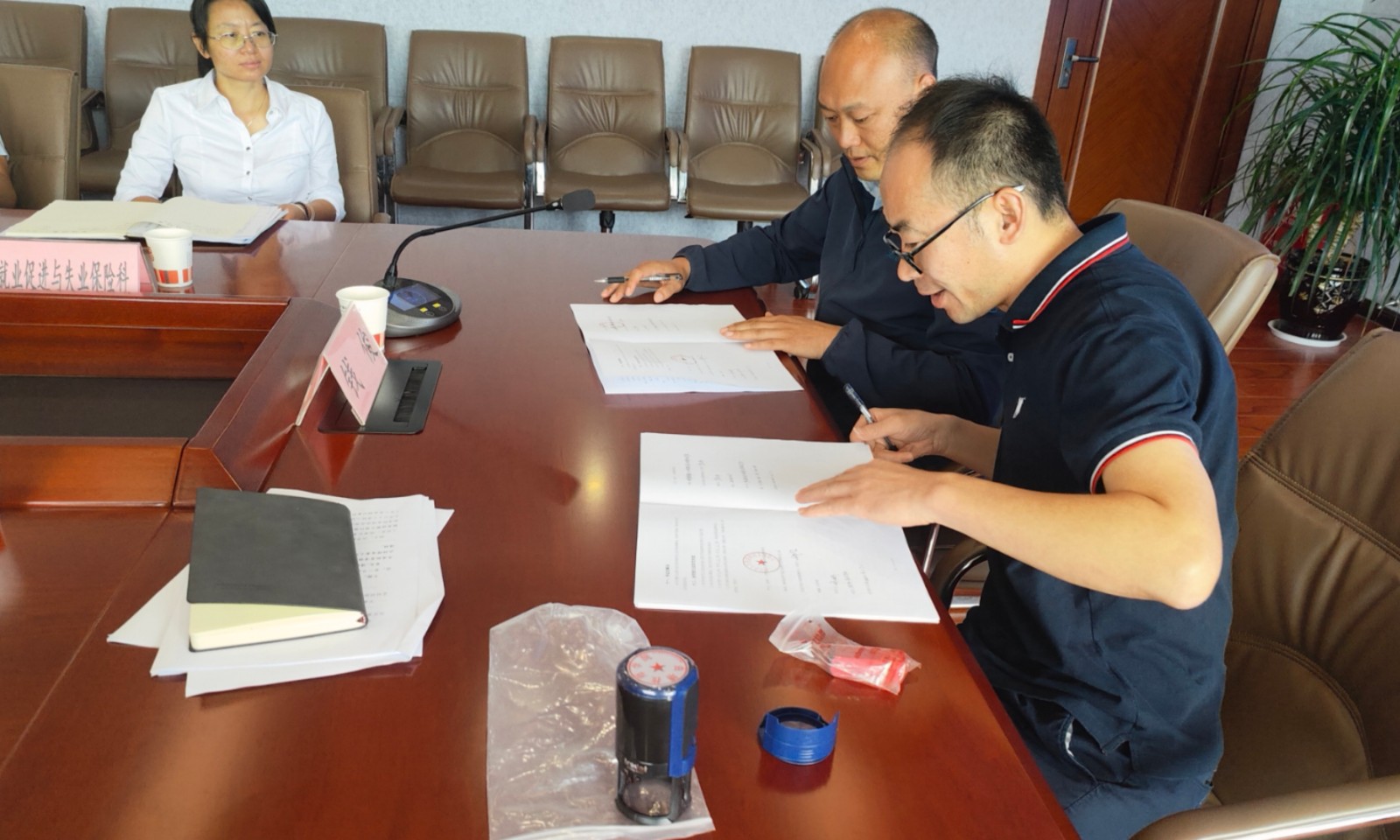 1691626699279597.jpg 1691626699279597.jpg