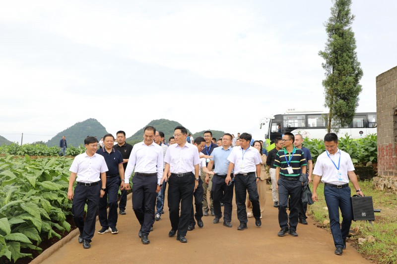 1691627735200805.jpg 1B8A0598.JPG