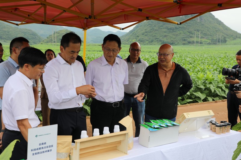 1691627755393390.jpg 1B8A0667.JPG