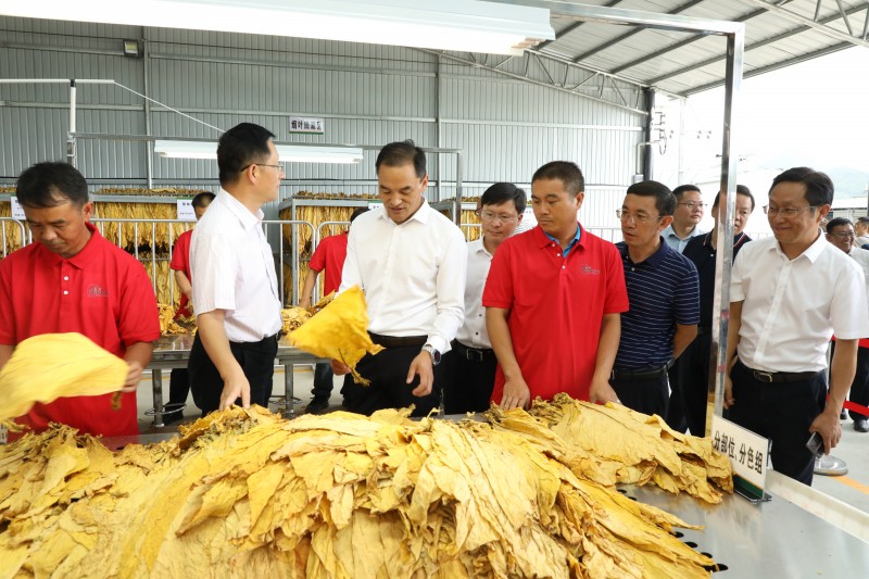 1691627793964567.jpg 1B8A0802.JPG