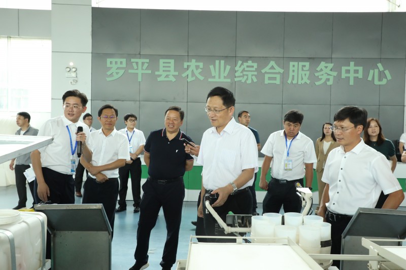 1691627809462002.jpg 1B8A0862.JPG