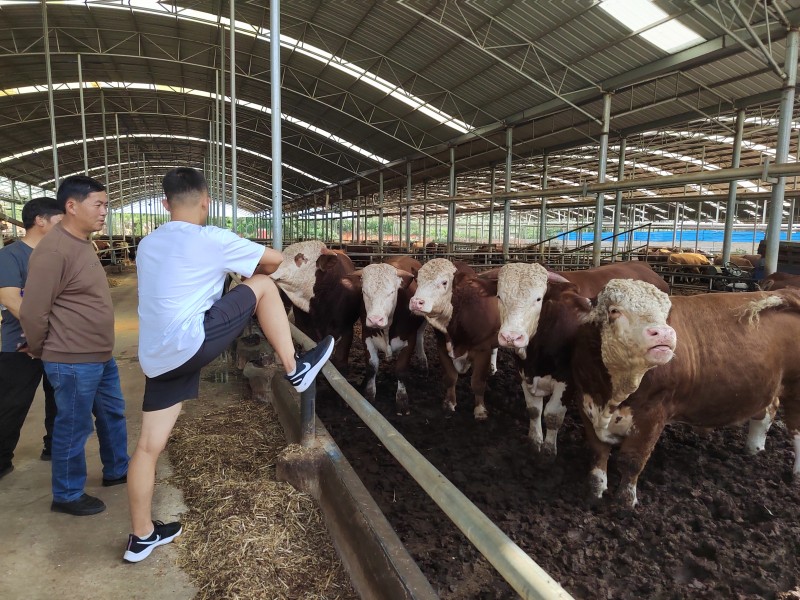 1692242206618286.jpg IMG_20230816_102650(1).jpg