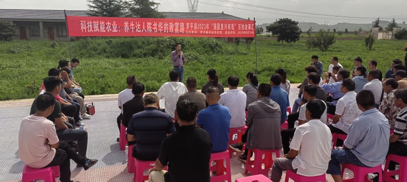 1692242217955688.jpg mmexport1692188607340(1).jpg