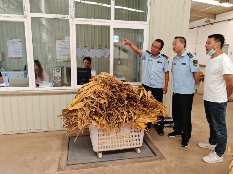 1693811265149890.jpg 30646204ee5e997c14a4854d965e862.jpg