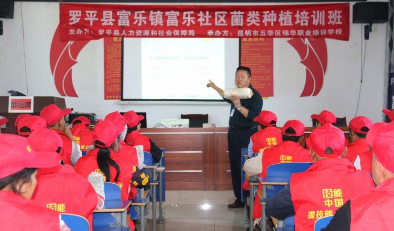 1693882461169376.jpg 1.jpg