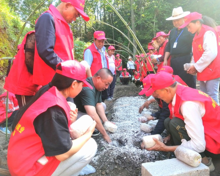 1693882532631425.jpg 2.jpg