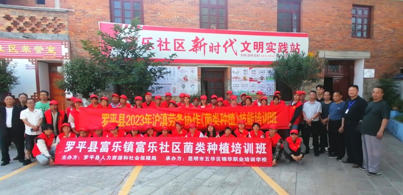 1693882546430340.jpg 3.jpg