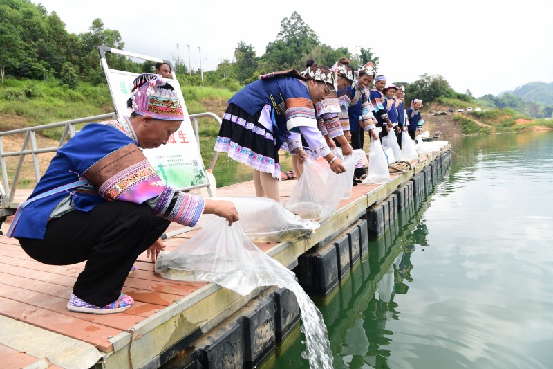 1695602550894947.jpg 1 (1).JPG