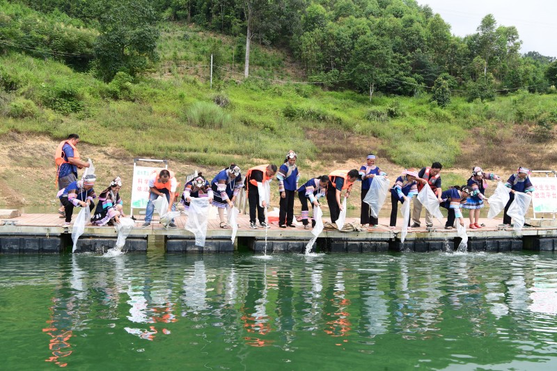 1695602566253846.jpg 1 (2).JPG