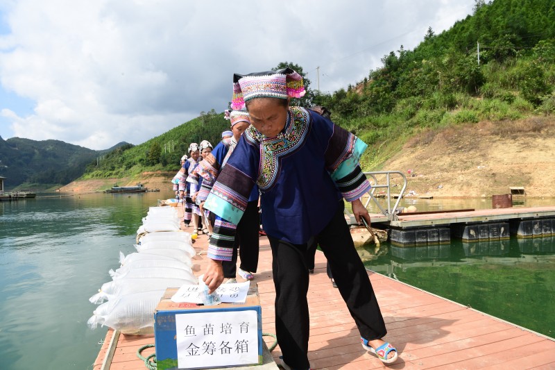 1695602582561033.jpg 1 (3).JPG