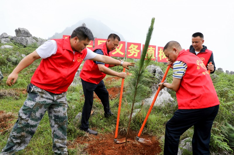 1698799492799152.jpg 领导干部带头植树补绿.JPG