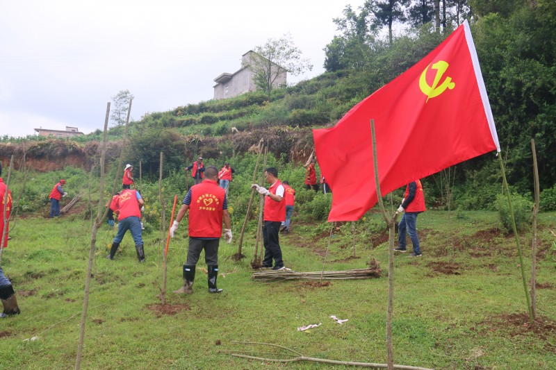 1698799554606858.jpg 开展“党建+河长制”沿河增绿活动.JPG