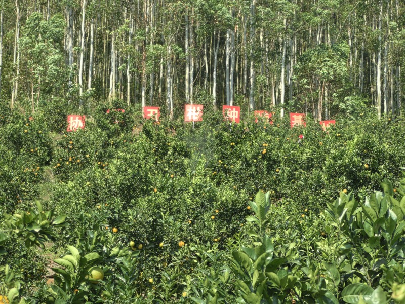 1698971257319111.jpg 图1.jpg