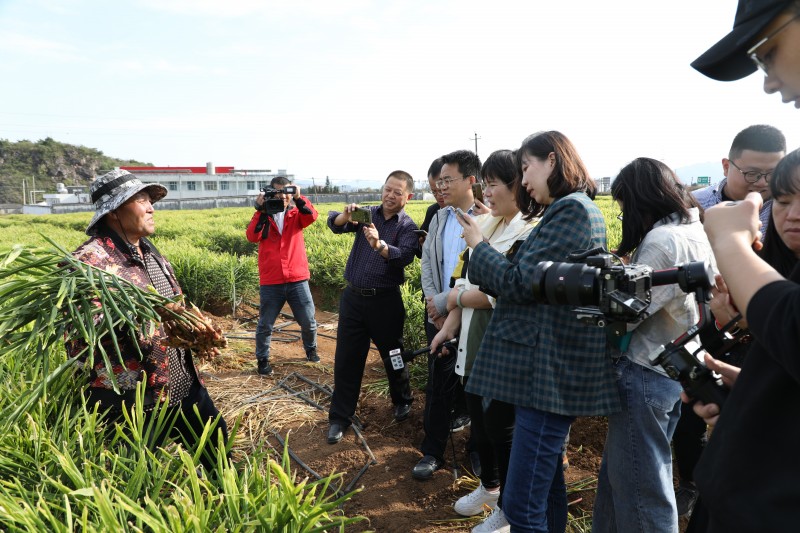 1699231554841674.jpg 188A7330.JPG