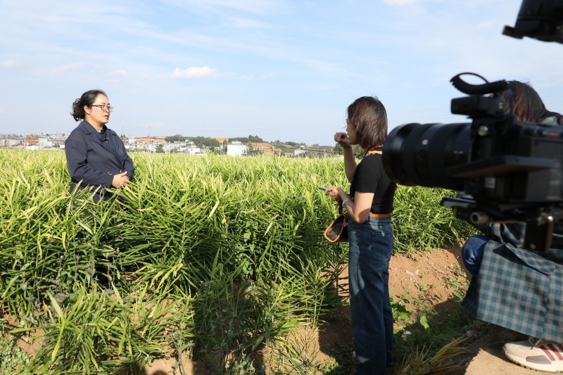 1699231573867235.jpg 188A7341.JPG