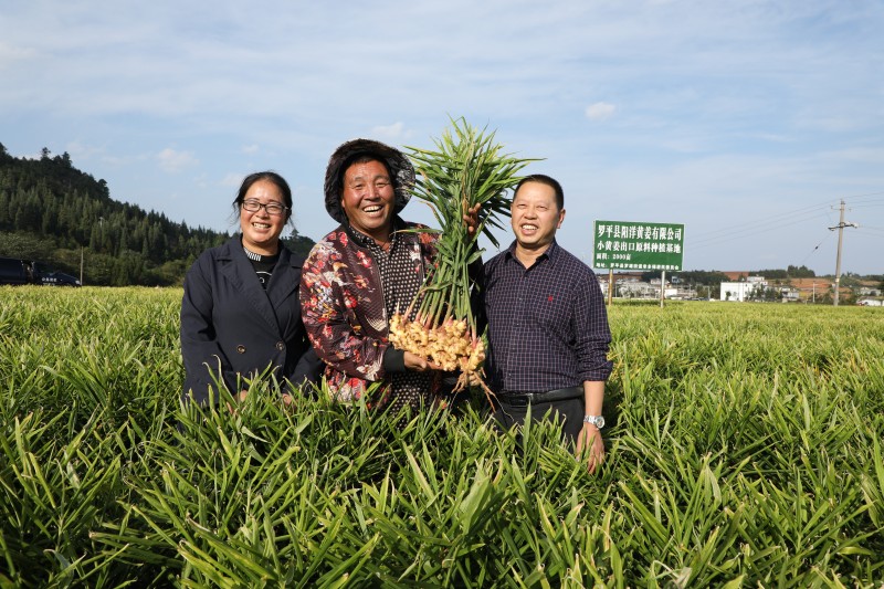 1699231627472225.jpg 188A7347.JPG