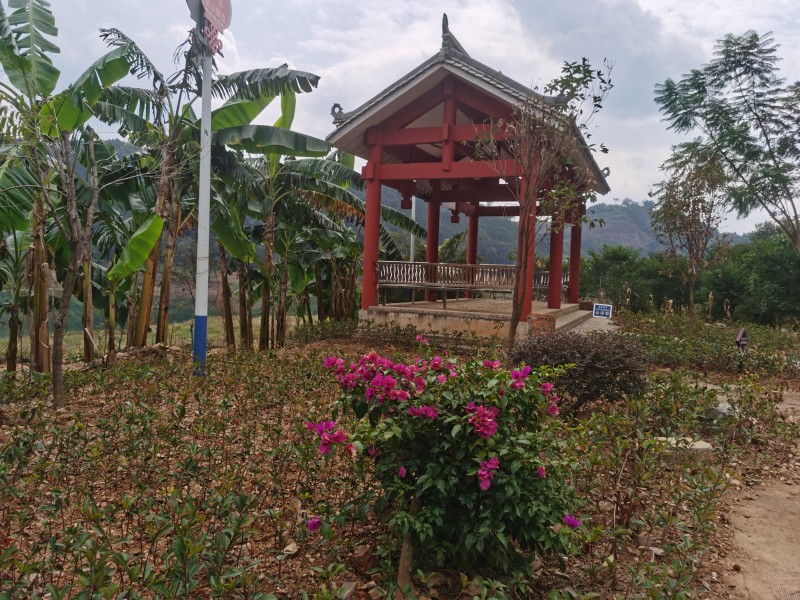 1699403246251485.jpg 微信图片_20231107185329.jpg