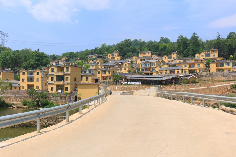 1699427252848460.jpg IMG_8184.JPG