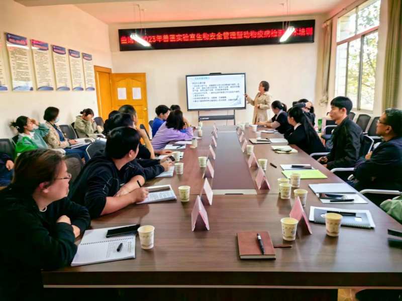 1700014824107958.png 图片2.png