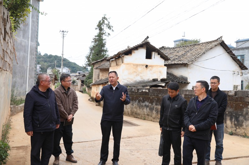 1700443232261985.jpg F10A3289.JPG