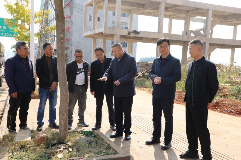 1700613397497420.jpg 1B8A4608.JPG