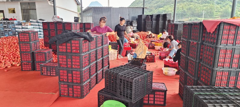 1700637710909192.jpg 1.jpg