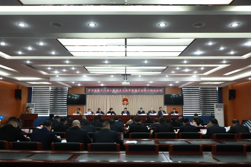 1704075733244920.jpg 0C4A3516.JPG