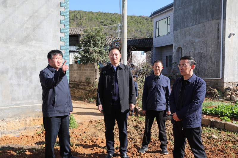 1704676893196982.jpg F10A4498.JPG