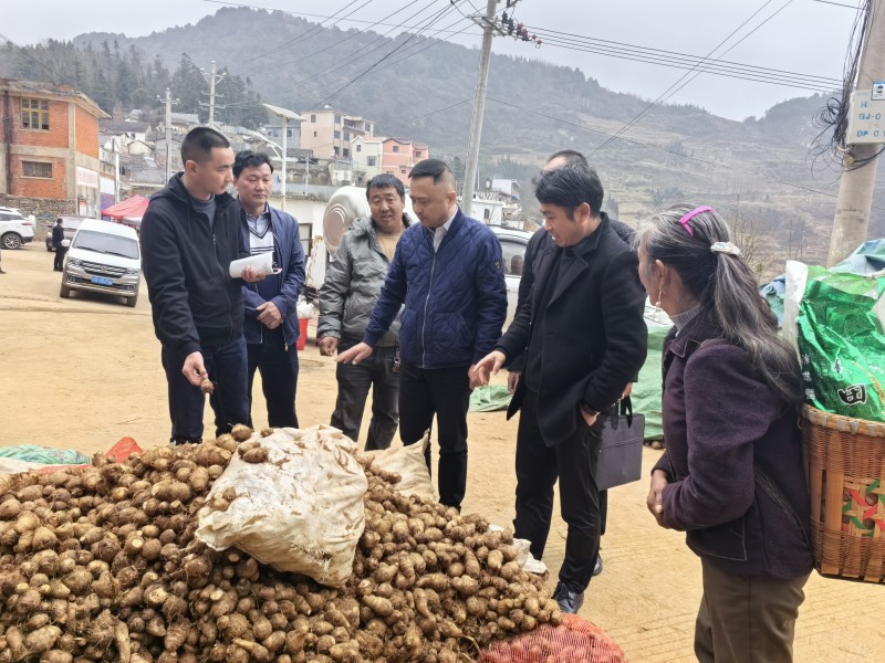 1704947468603849.jpg e158a91c2b6edebb1d157636f5746f0d_.jpg