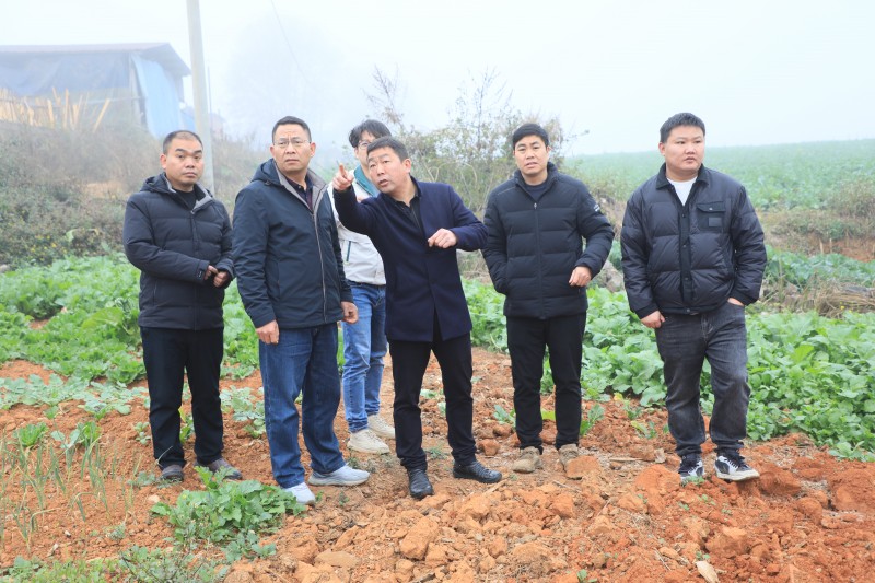 1705280065442201.jpg FN9A3036.JPG