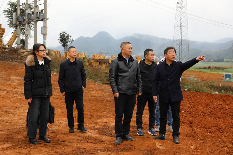 1705284160889353.jpg 1B8A5810.JPG