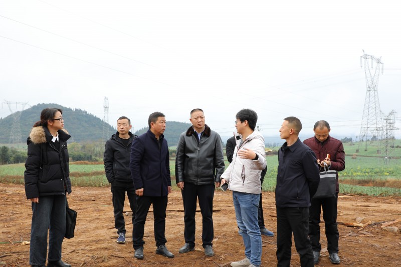 1705284211165011.jpg 1B8A5825.JPG