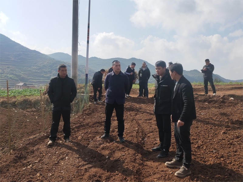 1705455415252540.jpg 1.jpg