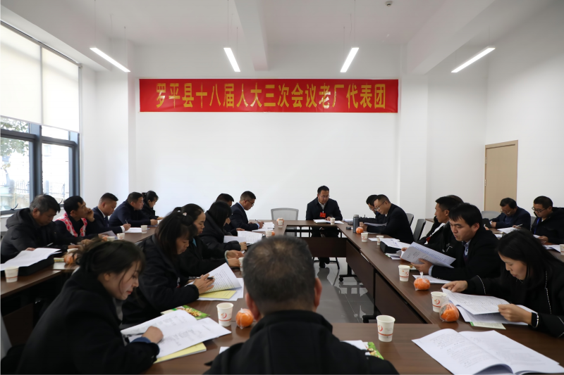 1706679464991558.png 县人大常委会主任沈宏波参加讨论 (2).png