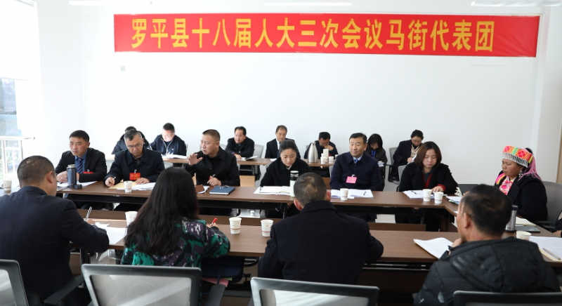 1706679496726247.png 县委副书记、县长王玮参加讨论 (2).png