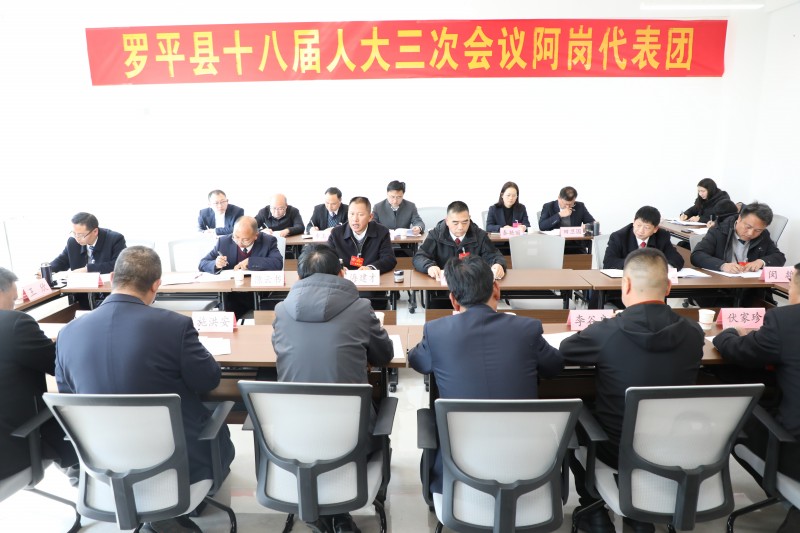 1706679536860793.jpg 县委书记海建才参加讨论 (1).JPG