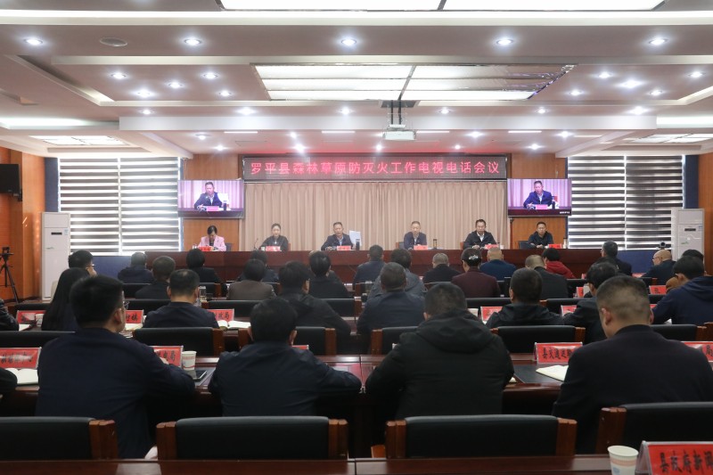 1708326695106060.jpg 1.jpg