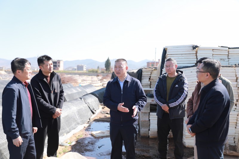 1708390229355995.jpg F10A5823.JPG