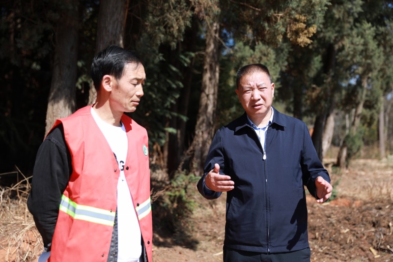 1708390257817105.jpg F10A5849.JPG