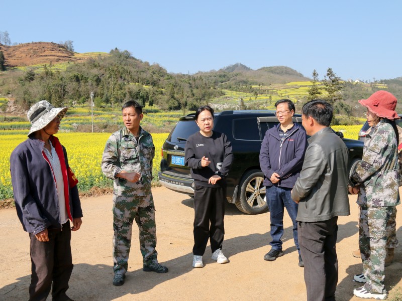 1708390443224729.jpg IMG_7140.jpg