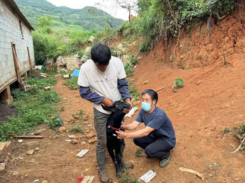 1709110578296299.jpg 2.jpg