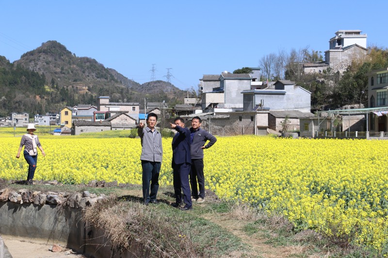 1709686654182555.jpg 1 (2).JPG